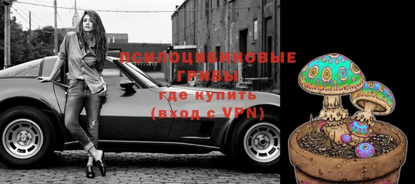 кокс Баксан