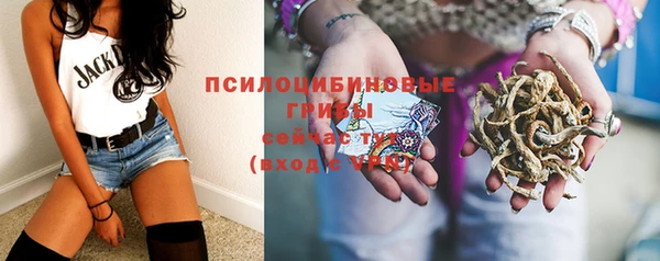 соль ск Балабаново