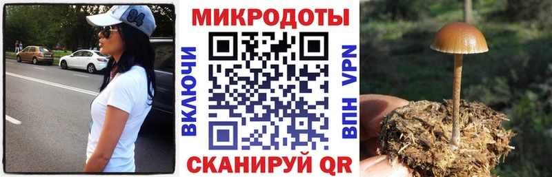где купить наркоту Переславль-Залесский Псилоцибиновые грибы Psilocybine cubensis